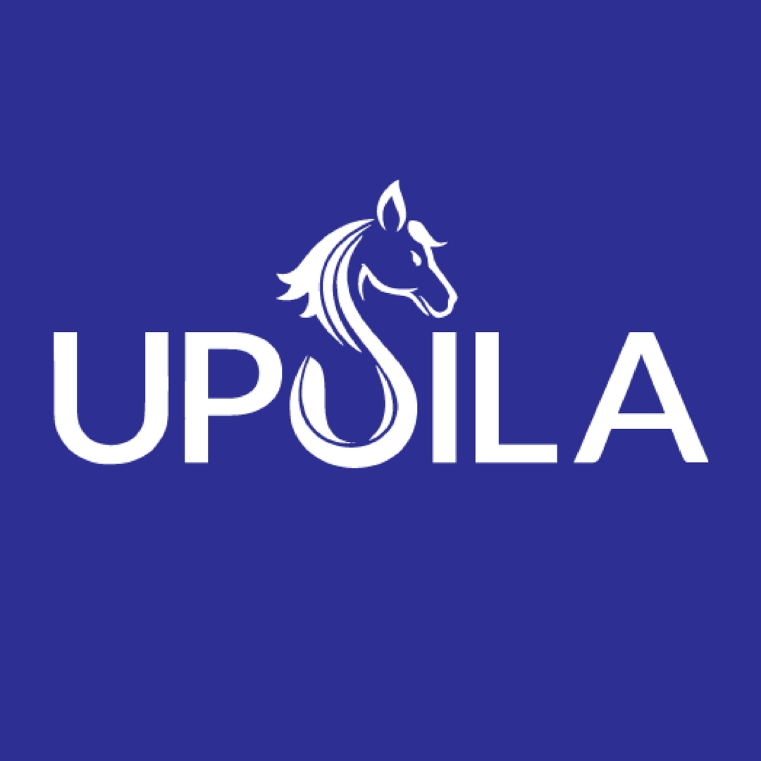 Image of What is Upsila?